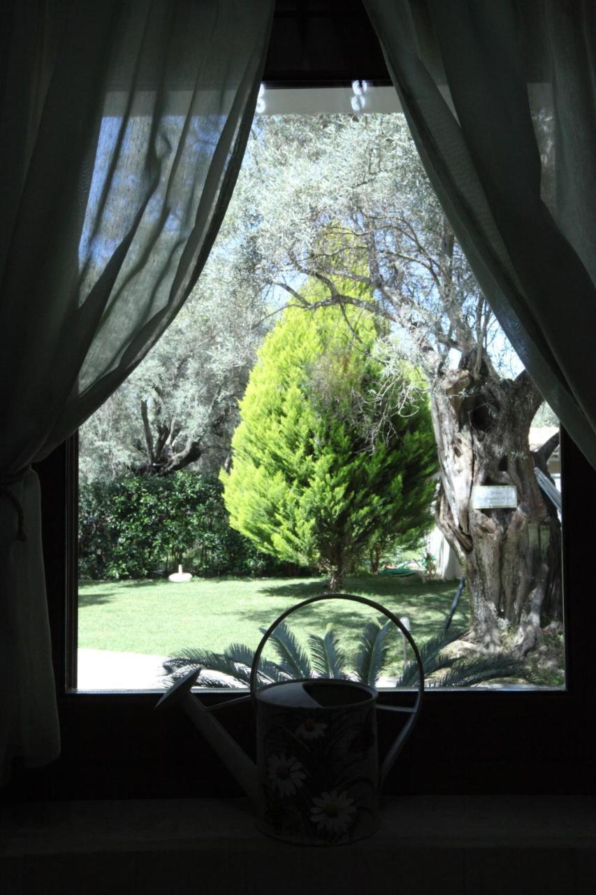 Olivastro Villa Lefkáda Extérieur photo
